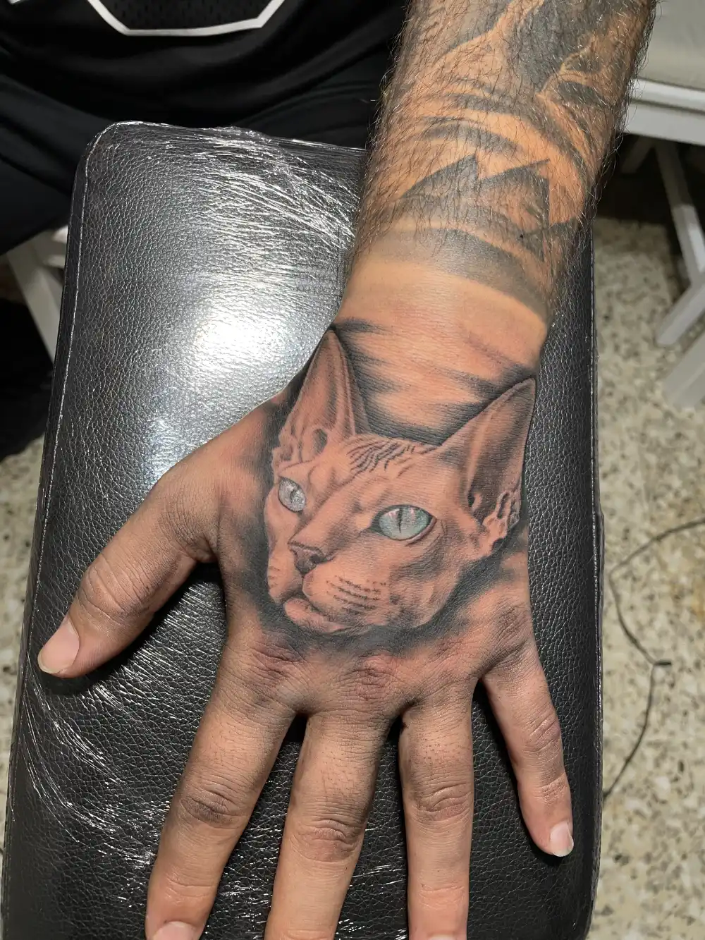 tatuaje gato